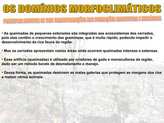 • As queimadas de pequenas extensões são integradas aos ecossistemas dos cerrados,
pois elas contêm o crescimento das gramíneas, que é muito rápido, podendo impedir o
desenvolvimento da rica fauna da região.
• Mas os cerrados apresentam vastas áreas onde ocorrem queimadas intensas e extensas.
• Esse artifício (queimadas) é utilizado por criadores de gado e monocultores da região,
dado ser um método barato de desmatamento e manejo.
• Dessa forma, as queimadas destroem as matas galerias que protegem as margens dos rios
e matam vários animais.
 