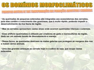 • As queimadas de pequenas extensões são integradas aos ecossistemas dos cerrados,
pois elas contêm o crescimento das gramíneas, que é muito rápido, podendo impedir o
desenvolvimento da rica fauna da região.
• Mas os cerrados apresentam vastas áreas onde ocorrem queimadas intensas e extensas.
• Esse artifício (queimadas) é utilizado por criadores de gado e monocultores da região,
dado ser um método barato de desmatamento e manejo.
• Dessa forma, as queimadas destroem as matas galerias que protegem as margens dos rios
e matam vários animais.
• Uma das grandes ameaças ao cerrado hoje é o cultivo de soja, que ocupa vastas
extensões.
 