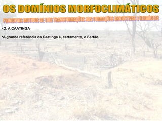 • 2. A CAATINGA
•A grande referência da Caatinga é, certamente, o Sertão.
 