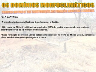 • 2. A CAATINGA
•A grande referência da Caatinga é, certamente, o Sertão.
• São cerca de 800 mil quilômetros quadrados (10% do território nacional), por onde se
distribuem cerca de 18 milhões de brasileiros.
• Essa formação ocorre em vários estados do Nordeste, no norte de Minas Gerais, apresenta
clima semi-árido e solos pedregosos e rasos.
 