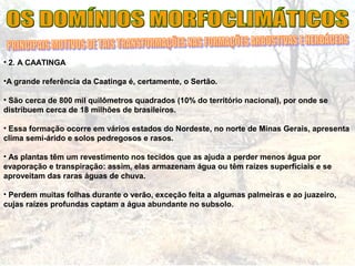 • 2. A CAATINGA
•A grande referência da Caatinga é, certamente, o Sertão.
• São cerca de 800 mil quilômetros quadrados (10% do território nacional), por onde se
distribuem cerca de 18 milhões de brasileiros.
• Essa formação ocorre em vários estados do Nordeste, no norte de Minas Gerais, apresenta
clima semi-árido e solos pedregosos e rasos.
• As plantas têm um revestimento nos tecidos que as ajuda a perder menos água por
evaporação e transpiração: assim, elas armazenam água ou têm raízes superficiais e se
aproveitam das raras águas de chuva.
• Perdem muitas folhas durante o verão, exceção feita a algumas palmeiras e ao juazeiro,
cujas raízes profundas captam a água abundante no subsolo.
 