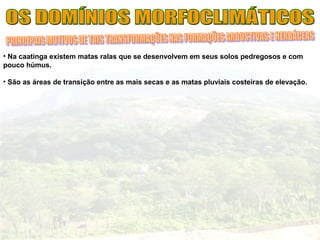 • Na caatinga existem matas ralas que se desenvolvem em seus solos pedregosos e com
pouco húmus.
• São as áreas de transição entre as mais secas e as matas pluviais costeiras de elevação.
 