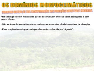 • Na caatinga existem matas ralas que se desenvolvem em seus solos pedregosos e com
pouco húmus.
• São as áreas de transição entre as mais secas e as matas pluviais costeiras de elevação.
• Essa porção da caatinga é mais popularmente conhecida por “Agreste”.
 