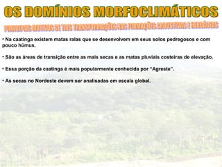 • Na caatinga existem matas ralas que se desenvolvem em seus solos pedregosos e com
pouco húmus.
• São as áreas de transição entre as mais secas e as matas pluviais costeiras de elevação.
• Essa porção da caatinga é mais popularmente conhecida por “Agreste”.
• As secas no Nordeste devem ser analisadas em escala global.
 