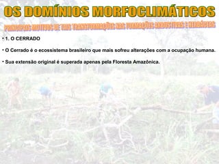 • 1. O CERRADO
• O Cerrado é o ecossistema brasileiro que mais sofreu alterações com a ocupação humana.
• Sua extensão original é superada apenas pela Floresta Amazônica.
 