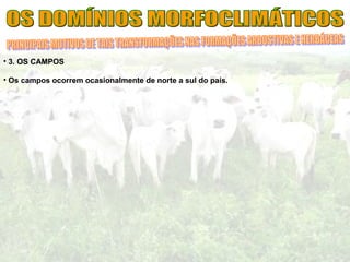 • 3. OS CAMPOS
• Os campos ocorrem ocasionalmente de norte a sul do país.
 