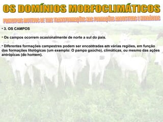 • 3. OS CAMPOS
• Os campos ocorrem ocasionalmente de norte a sul do país.
• Diferentes formações campestres podem ser encontradas em várias regiões, em função
das formações litológicas (um exemplo: O pampa gaúcho), climáticas, ou mesmo das ações
antrópicas (do homem).
 