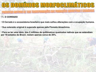 • 1. O CERRADO
• O Cerrado é o ecossistema brasileiro que mais sofreu alterações com a ocupação humana.
• Sua extensão original é superada apenas pela Floresta Amazônica.
• Para se ter uma ideia, dos 2 milhões de quilômetros quadrados nativos que se estendiam
por 10 estados do Brasil, restam apenas cerca de 20%.
 