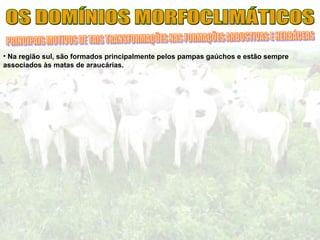 • Na região sul, são formados principalmente pelos pampas gaúchos e estão sempre
associados às matas de araucárias.
 