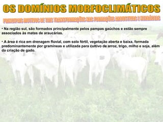 • Na região sul, são formados principalmente pelos pampas gaúchos e estão sempre
associados às matas de araucárias.
• A área é rica em drenagem fluvial, com solo fértil, vegetação aberta e baixa, formada
predominantemente por gramíneas e utilizada para cultivo de arroz, trigo, milho e soja, além
da criação de gado.
 