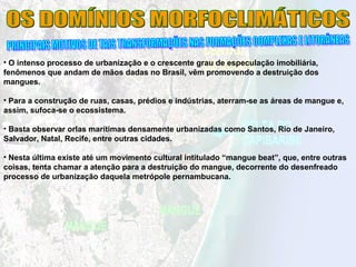 • O intenso processo de urbanização e o crescente grau de especulação imobiliária,
fenômenos que andam de mãos dadas no Brasil, vêm promovendo a destruição dos
mangues.
• Para a construção de ruas, casas, prédios e indústrias, aterram-se as áreas de mangue e,
assim, sufoca-se o ecossistema.
• Basta observar orlas marítimas densamente urbanizadas como Santos, Rio de Janeiro,
Salvador, Natal, Recife, entre outras cidades.
• Nesta última existe até um movimento cultural intitulado “mangue beat”, que, entre outras
coisas, tenta chamar a atenção para a destruição do mangue, decorrente do desenfreado
processo de urbanização daquela metrópole pernambucana.
 
