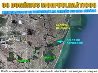 Recife, um exemplo de cidade com processo de urbanização que avançou por mangues
 