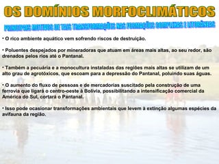 • O rico ambiente aquático vem sofrendo riscos de destruição.
• Poluentes despejados por mineradoras que atuam em áreas mais altas, ao seu redor, são
drenados pelos rios até o Pantanal.
• Também a pecuária e a monocultura instaladas das regiões mais altas se utilizam de um
alto grau de agrotóxicos, que escoam para a depressão do Pantanal, poluindo suas águas.
• O aumento do fluxo de pessoas e de mercadorias suscitado pela construção de uma
ferrovia que ligará o centro-oeste à Bolívia, possibilitando a intensificação comercial da
América do Sul, cortará o Pantanal.
• Isso pode ocasionar transformações ambientais que levem à extinção algumas espécies da
avifauna da região.
 