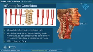 Bifurcação Carotídea
➢ O nível da bifurcação carotídea varia
➢ Habitualmente, está abaixo do ângulo da
mandíbula. Se estiver localizado acima deste
nível, devemos utilizar o transdutor convexo!
➢ 65% a nível de c3-c4.
12
bases para o exame - Anatomia
Dr. Carlos Stéfano Hoffmann Britto @drcarlosstefano stefanobritto@hotmail.com (31) 98799-0405
 