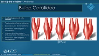 Bulbo Carotídeo
14
bases para o exame - Anatomia
 Localizações possíveis do bulbo
carotídeo:
1. Porção proximal do ramo interno;
2. Quase exclusivo do ramo interno;
3. Envolvendo a bifurcação e o
ramo interno;
4. Envolvendo a bifurcação e
ambos os ramos interno e externo;
5. Envolvendo a bifurcação e o
ramo externo.
Dr. Carlos Stéfano Hoffmann Britto @drcarlosstefano stefanobritto@hotmail.com (31) 98799-0405
 
