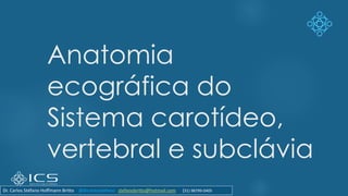 Anatomia
ecográfica do
Sistema carotídeo,
vertebral e subclávia
Dr. Carlos Stéfano Hoffmann Britto @drcarlosstefano stefanobritto@hotmail.com (31) 98799-0405
 