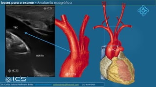 bases para o exame – Anatomia ecográfica
Dr. Carlos Stéfano Hoffmann Britto @drcarlosstefano stefanobritto@hotmail.com (31) 98799-0405
 