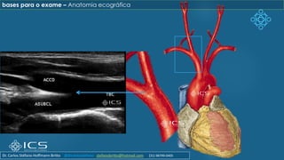 bases para o exame – Anatomia ecográfica
Dr. Carlos Stéfano Hoffmann Britto @drcarlosstefano stefanobritto@hotmail.com (31) 98799-0405
 