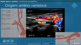 Origem artéria vertebral
bases para o exame – Anatomia ecográfica
Dr. Carlos Stéfano Hoffmann Britto @drcarlosstefano stefanobritto@hotmail.com (31) 98799-0405
 