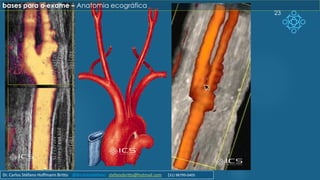 23
bases para o exame – Anatomia ecográfica
Dr. Carlos Stéfano Hoffmann Britto @drcarlosstefano stefanobritto@hotmail.com (31) 98799-0405
 