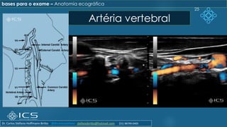 25
Artéria vertebral
bases para o exame – Anatomia ecográfica
Dr. Carlos Stéfano Hoffmann Britto @drcarlosstefano stefanobritto@hotmail.com (31) 98799-0405
 