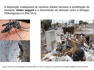 A disposição inadequada de resíduos sólidos favorece a proliferação do
mosquito Aedes aegypti e a transmissão de doenças como a Dengue,
Chikungunya e o Zika Virus.
http://imirante.com/oestadoma/noticias/2016/12/19/lixo-contribui-na-proliferacao-do-aedes-aegypti-em-sao-luis.shtml
 