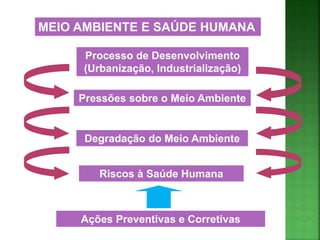 Processo de Desenvolvimento
(Urbanização, Industrialização)
Pressões sobre o Meio Ambiente
Degradação do Meio Ambiente
Riscos à Saúde Humana
MEIO AMBIENTE E SAÚDE HUMANA
Ações Preventivas e Corretivas
 