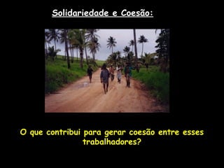 Solidariedade e Coesão:
O que contribui para gerar coesão entre esses
trabalhadores?
 