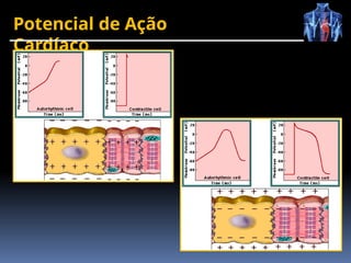 Potencial de Ação
Cardíaco
 
