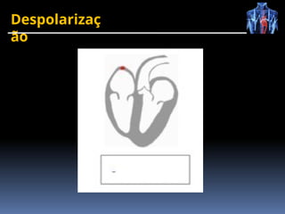 Despolarizaç
ão
 