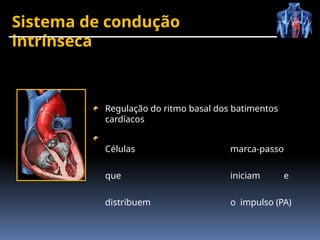 Regulação do ritmo basal dos batimentos
cardíacos
Células marca-passo
que iniciam e
distribuem o impulso (PA)
Sistema de condução
intrínseca
 