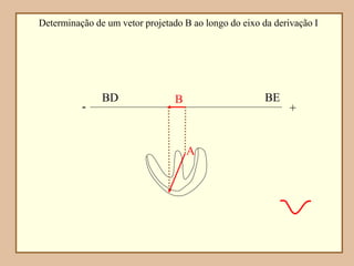 - +
BD BE
B
A
Determinação de um vetor projetado B ao longo do eixo da derivação I
 