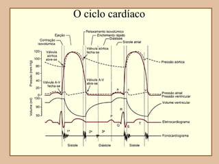 O ciclo cardíaco
 