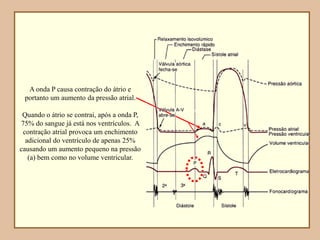 A onda P causa contração do átrio e
portanto um aumento da pressão atrial.
Quando o átrio se contrai, após a onda P,
75% do sangue já está nos ventrículos. A
contração atrial provoca um enchimento
adicional do ventrículo de apenas 25%
causando um aumento pequeno na pressão
(a) bem como no volume ventricular.
 
