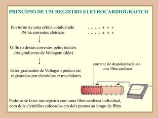 - - - - + + +
- - - - + + +
Em torno de uma célula conduzindo
PA há correntes elétricas
O fluxo destas correntes pelos tecidos
cria gradientes de Voltagem (ddp)
Estes gradientes de Voltagem podem ser
registrados por eletródios extracelulares
PRINCÍPIO DE UM REGISTRO ELETROCARDIOGRÁFICO
Pode-se se fazer um registro com uma fibra cardíaca individual,
com dois eletródios colocados em dois pontos ao longo da fibra
corrente de despolarização de
uma fibra cardíaca
 