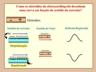 ++++++++++++
--------------
Repouso
Sentido da corrente Sentido do Vetor Deflexão Registrada
Como os eletródios do eletrocardiógrafo desenham
uma curva em função do sentido da corrente?
- + Eletródios
Na+
Despolarização
---- ++++++++
++++ ---------
--------------
++++++++++++
Despolarizada
Repolarização
K+
++++ ---------
---- +++++
Eletródios
- +
Eletródios
- +
 