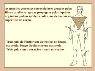 As grandes correntes extracelulares geradas pelas
fibras cardíacas, que se propagam pelos líquidos
orgânicos podem ser detectadas por eletródios na
superfície do corpo.
Triângulo de Einthoven: eletródios no braço
esquerdo, braço direito e perna esquerda:
Triângulo com o coração situado no centro.
 
