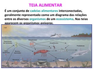 TEIA ALIMENTAR
É um conjunto de cadeias alimentares interconectadas,
geralmente representado como um diagrama das relações
entre os diversos organismos de um ecossistema. Nas teias
aparecem os organismos onívoros.
 
