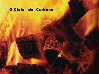 O Ciclo   do Carbono
 