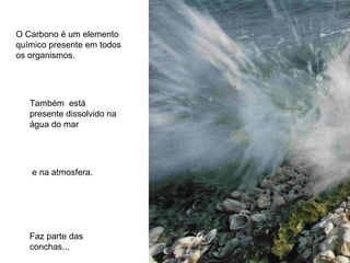 O Carbono é um elemento
químico presente em todos
os organismos.




   Também está
   presente dissolvido na
   água do mar




   e na atmosfera.




   Faz parte das
   conchas...
 