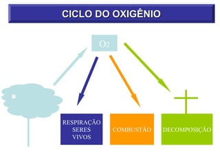 CICLO DO OXIGÊNIO


             O2




E
S
T
N
Í
O
F




    RESPIRAÇÃO
       SERES      COMBUSTÃO   DECOMPOSIÇÃO
       VIVOS
 