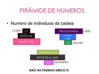 • Numero de individuos da cadeia
  COBRA   (1)                          PROTOZOARIOS        (1000)
      RATO (15)                          CUPIM
                                          (100)
      MILHO (100)                          (1)    ARVORE


                     ARANHAS (100)

                    DROSOFILAS (300)

                           (1)   BANANEIRA


                NAO HA PADRAO UNICO !!!
 