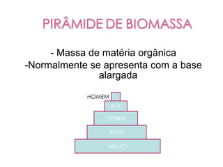 - Massa de matéria orgânica
-Normalmente se apresenta com a base
               alargada

            HOMEM
                    AVE

                COBRA

                    RATO

                 MILHO
 