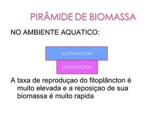 NO AMBIENTE AQUATICO:

                ZOOPLÂNCTON


                FITOPLÂNCTON


A taxa de reproduçao do fitoplâncton é
  muito elevada e a reposiçao de sua
  biomassa é muito rapida
 