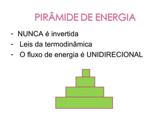 - NUNCA é invertida
- Leis da termodinâmica
- O fluxo de energia é UNIDIRECIONAL
 