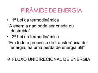 • 1ª Lei da termodinâmica
 “A energia nao pode ser criada ou
  destruida”
• 2ª Lei da termodinâmica
 “Em todo o processo de transferência de
  energia, ha uma perda de energia util”

 FLUXO UNIDIRECIONAL DE ENERGIA
 