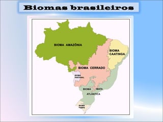 Biomas brasileiros
 