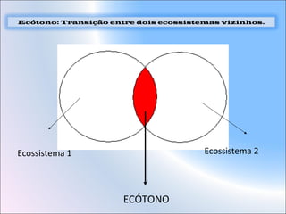 Ecótono: Transição entre dois ecossistemas vizinhos.
ECÓTONO
Ecossistema 1 Ecossistema 2
 