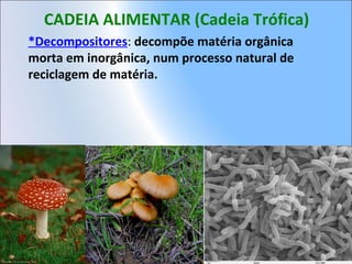CADEIA ALIMENTAR (Cadeia Trófica)
*Decompositores: decompõe matéria orgânica
morta em inorgânica, num processo natural de
reciclagem de matéria.
 