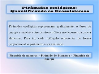Pirâmides ecológicas representam, graficamente, o fluxo de
energia e matéria entre os níveis tróficos no decorrer da cadeia
alimentar. Para tal, cada retângulo representa, de forma
proporcional, o parâmetro a ser analisado. 
Pirâmides ecológicas:
Quantificando os Ecossistemas
Pirâmide de números – Pirâmide de Biomassa – Pirâmide de
Energia
 